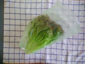 野菜保存袋　愛菜果　Ｍサイズ